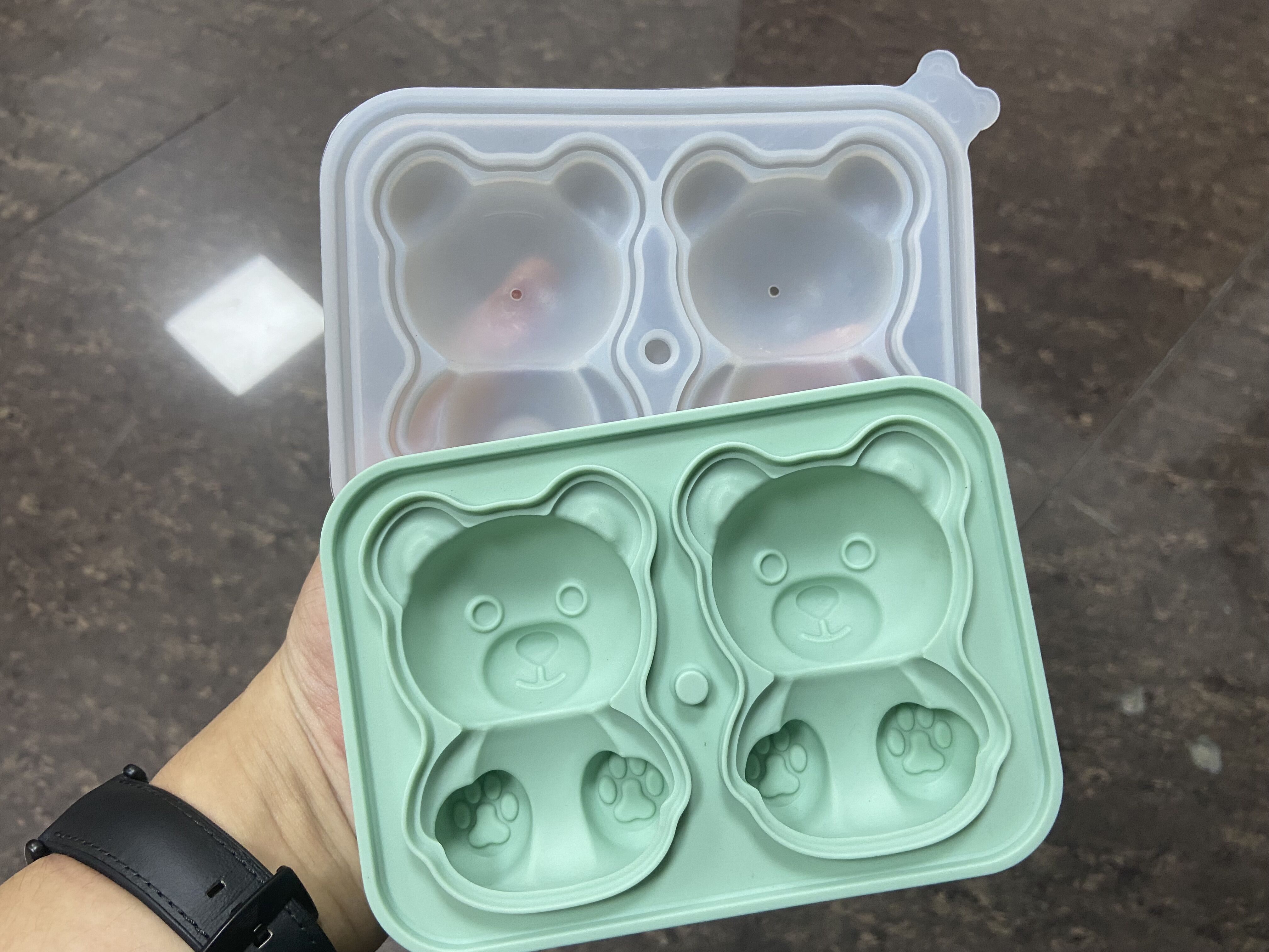 2 I-CAVITY BEAR ICE TREY 004