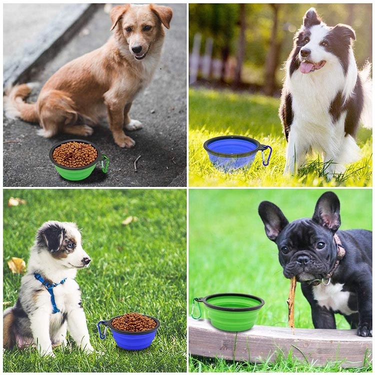Silicone Collapsable Dog Bowl (4)